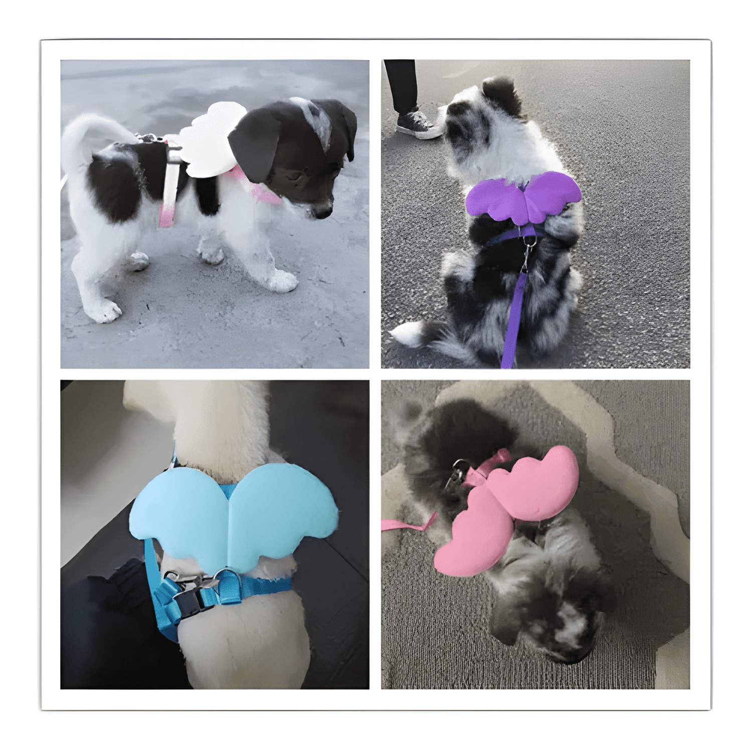 Arnés para gato ajustable con correa y alitas-2