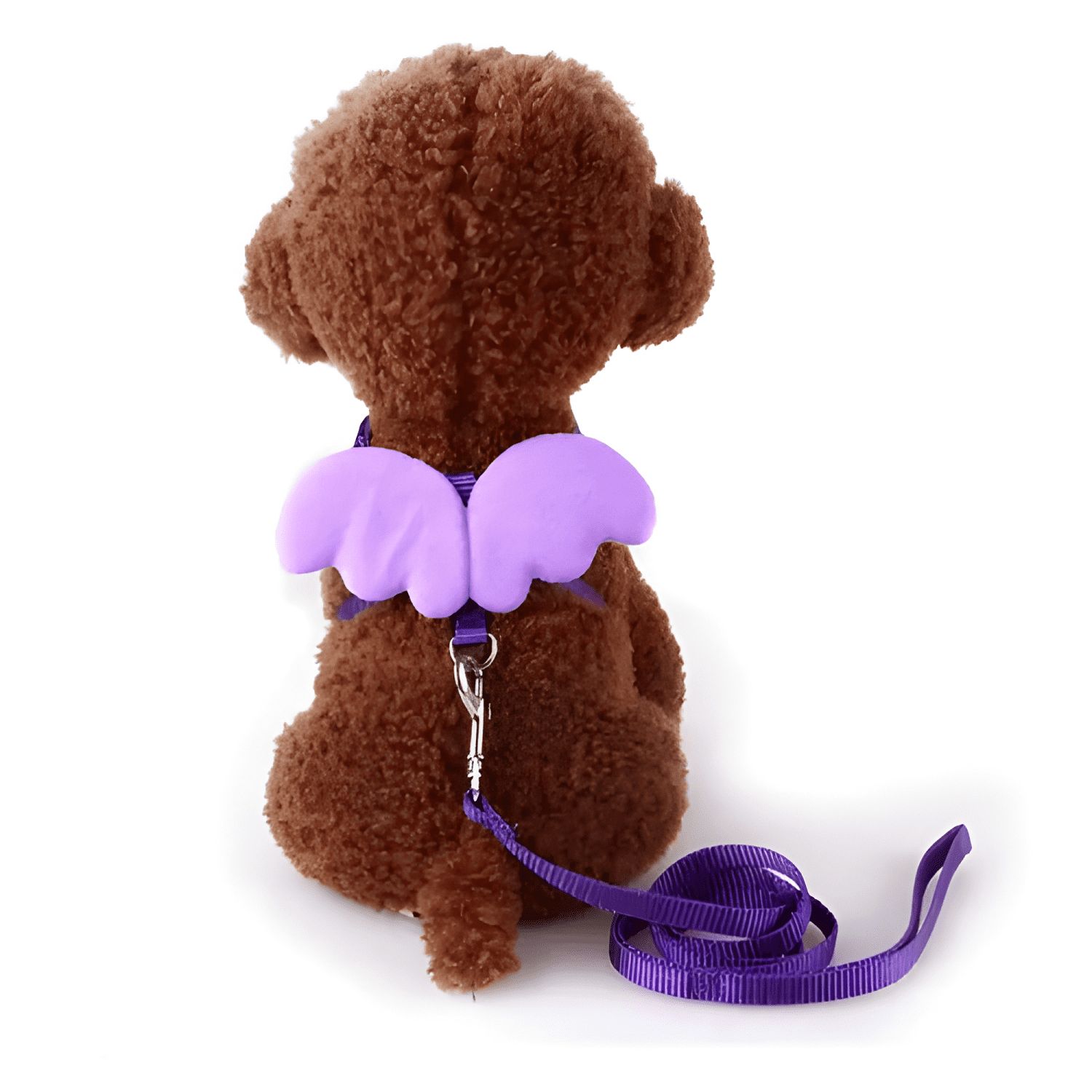 Arnés para gato ajustable con correa y alitas-3