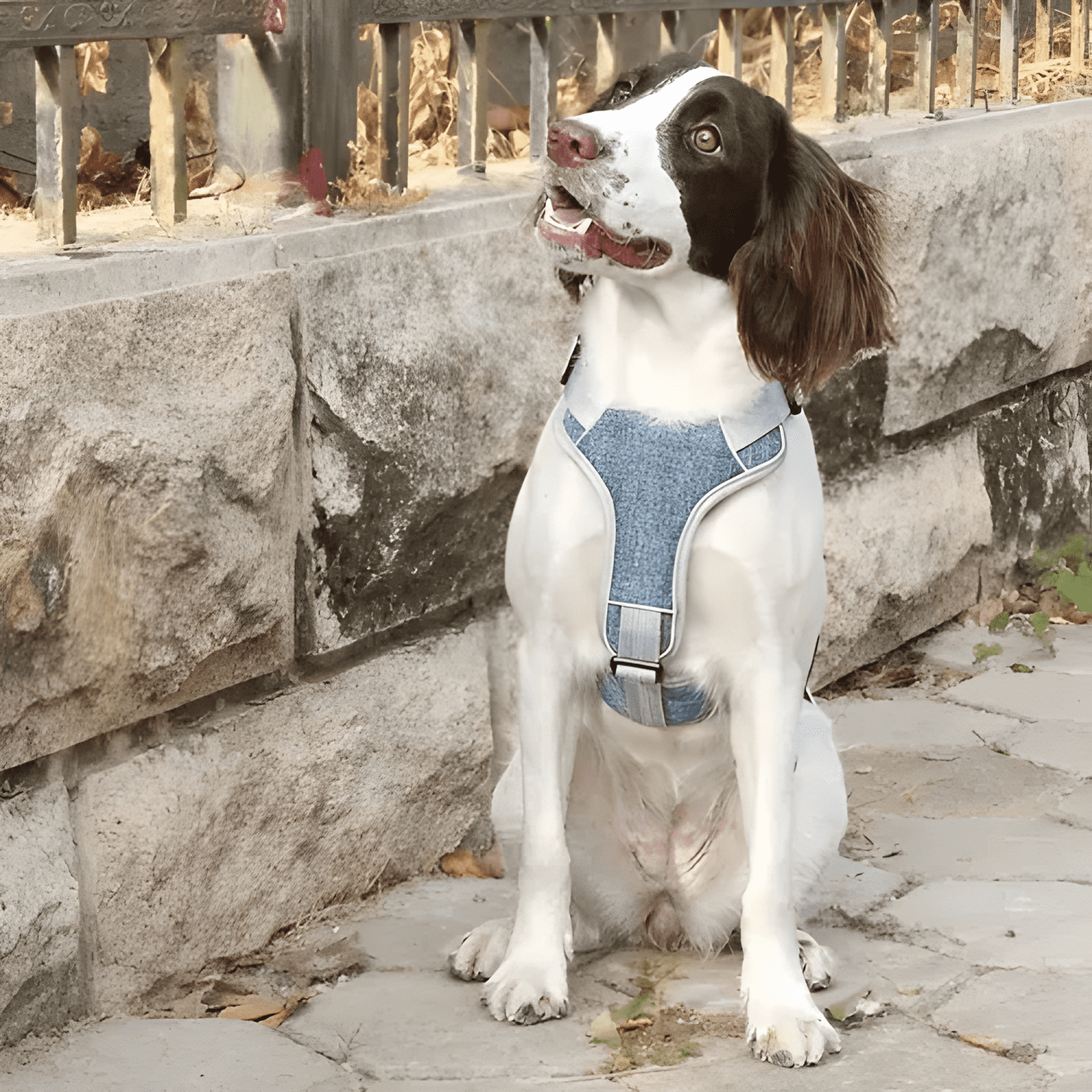 Arnés anti tirones acolchados para perro tallas s a XXL-3