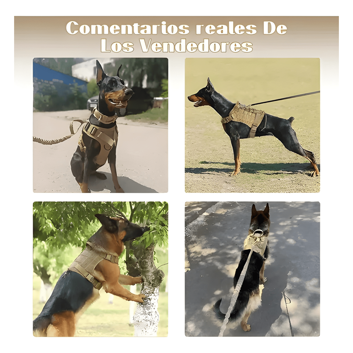 Arnés táctico con forma de coraza para perro grande-2