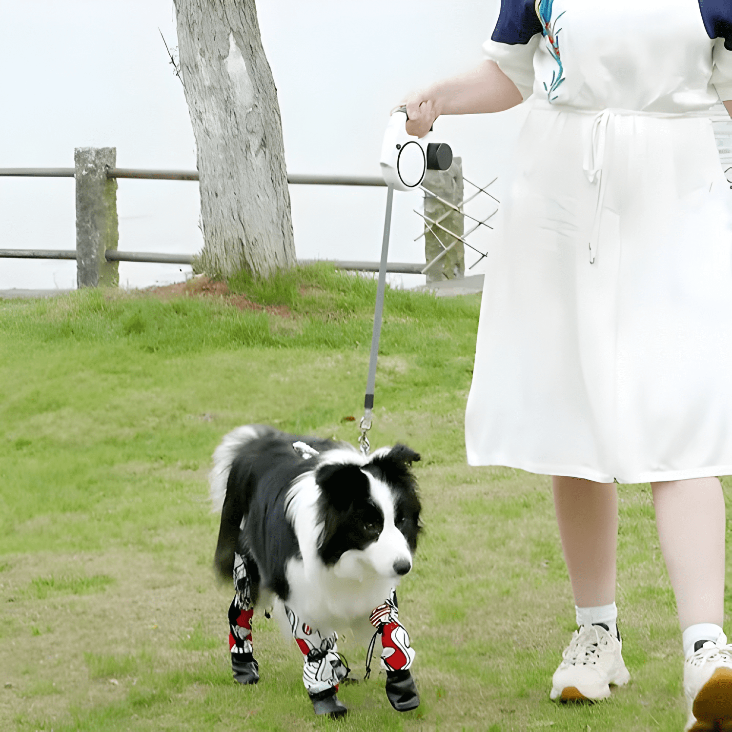 Correa retráctil para perro 5m hasta 50kg con lucesled-4