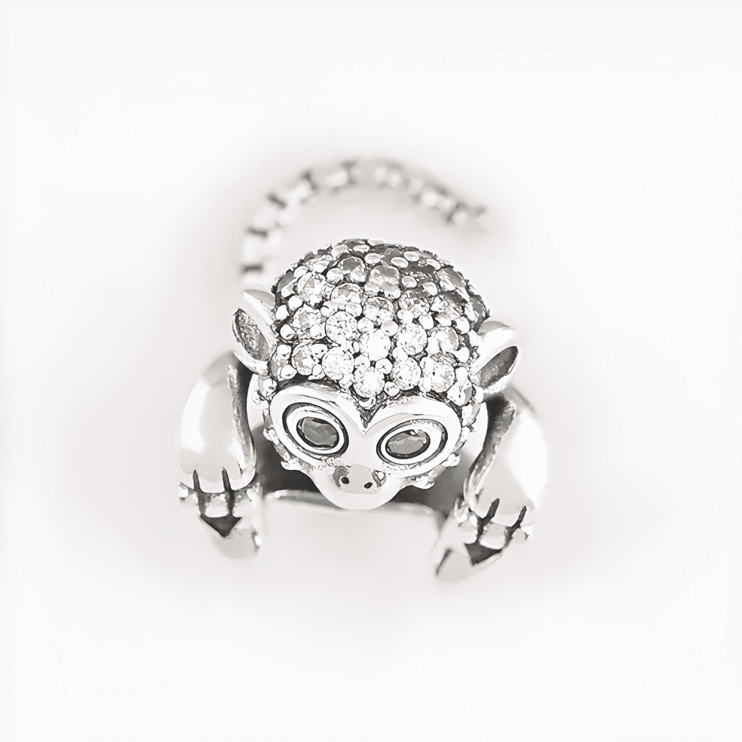 Charm dije mono brillante plata 925-2