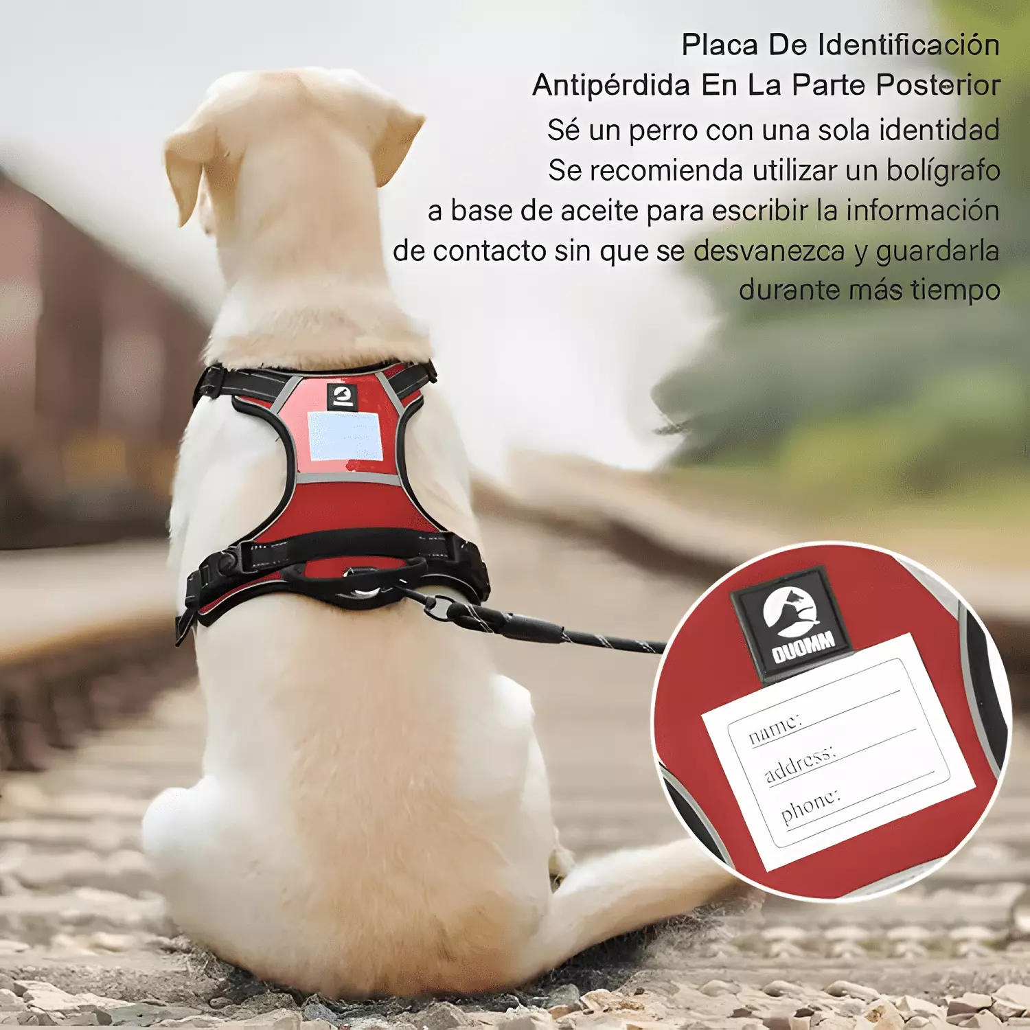 Imagen de producto