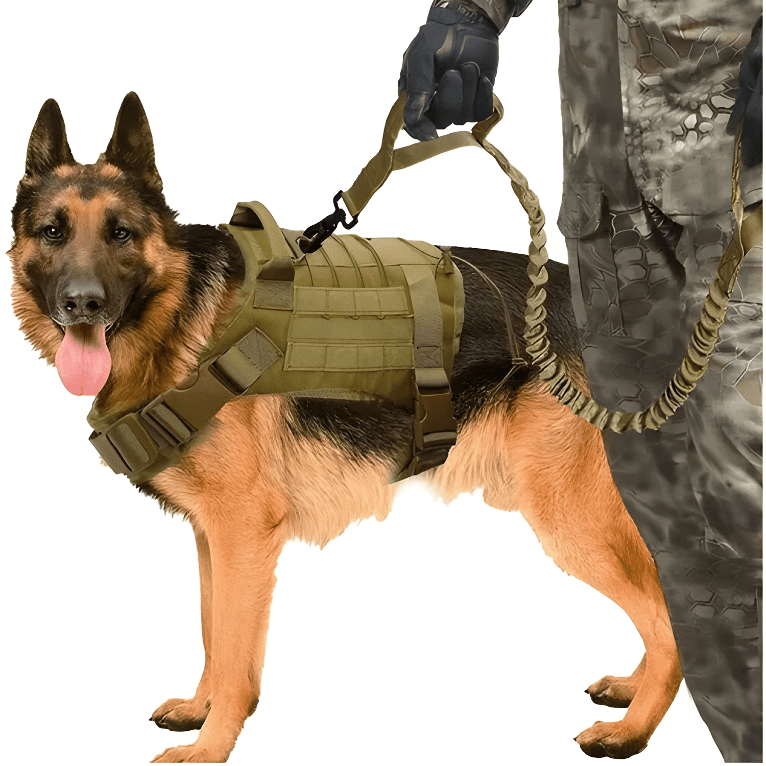 Arnés tactico perro arnés tactico arnés perro grande molle-4