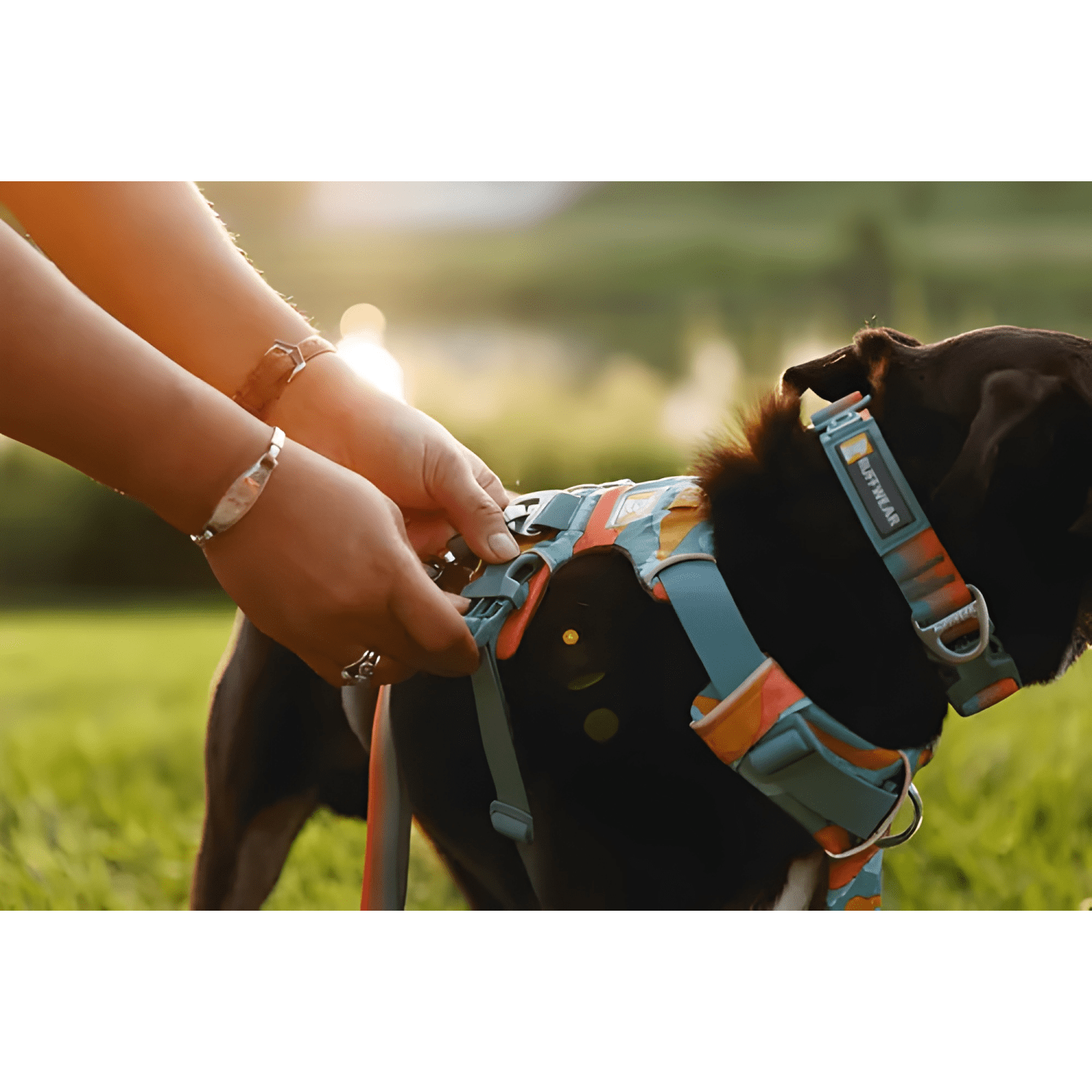 Arnés para perro anti tiron ruffwear front range XS s m l XL-4