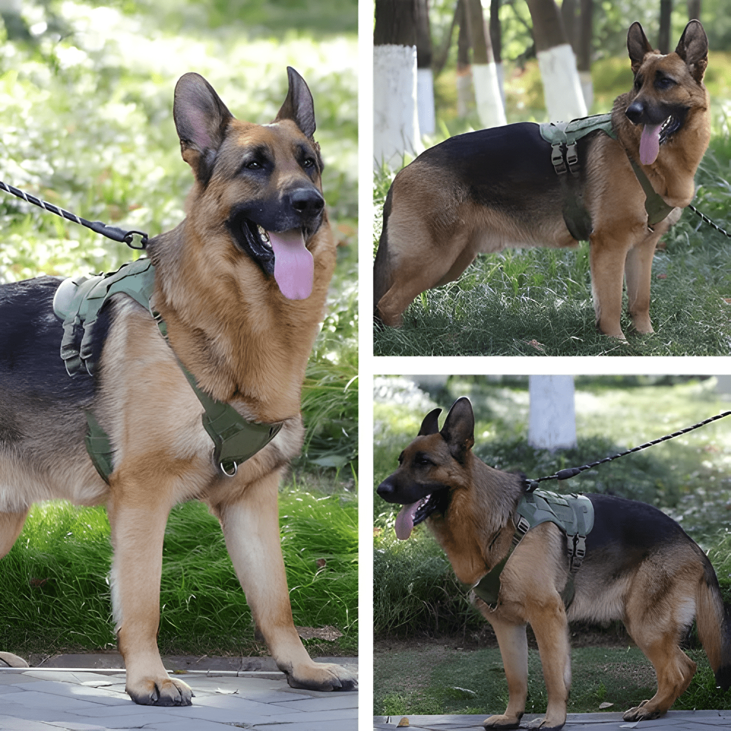 Arnés táctico profesional ajustables para perros grandes-4