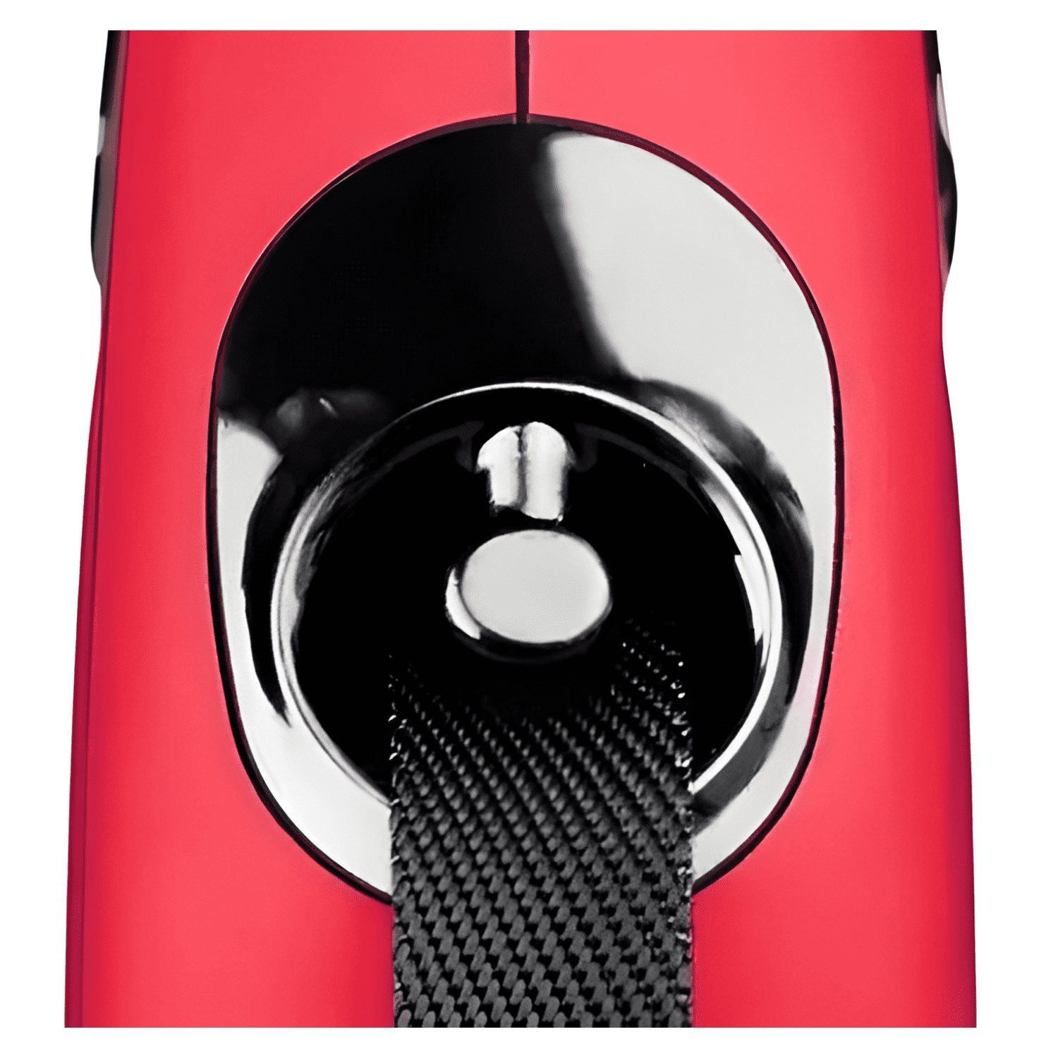 Correa flexi new classic 5mts. talla m, hasta 25kg-2