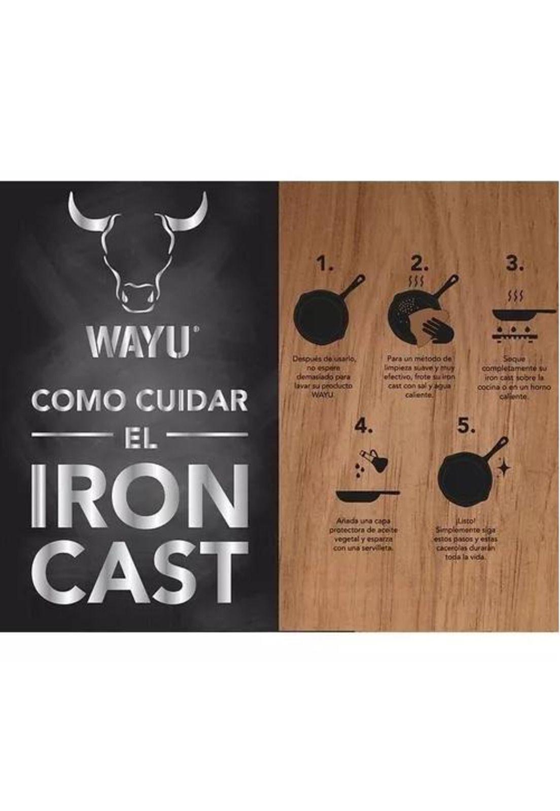 Disco de Hierro Fundido - Wayu, Color Negro-5