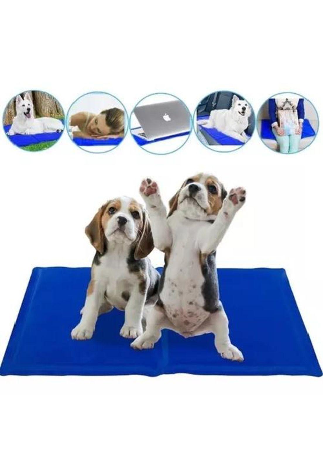 Manta refrescante pet cool mat 30x40 cm mascotas azul-3