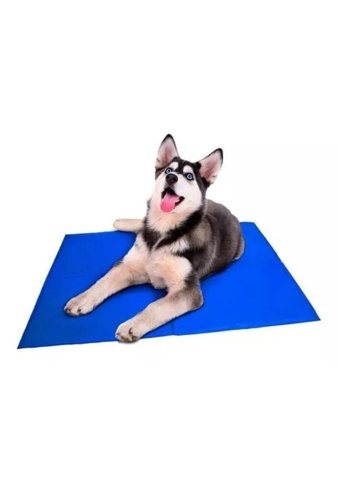 Manta refrescante pet cool mat 30x40 cm mascotas azul-5