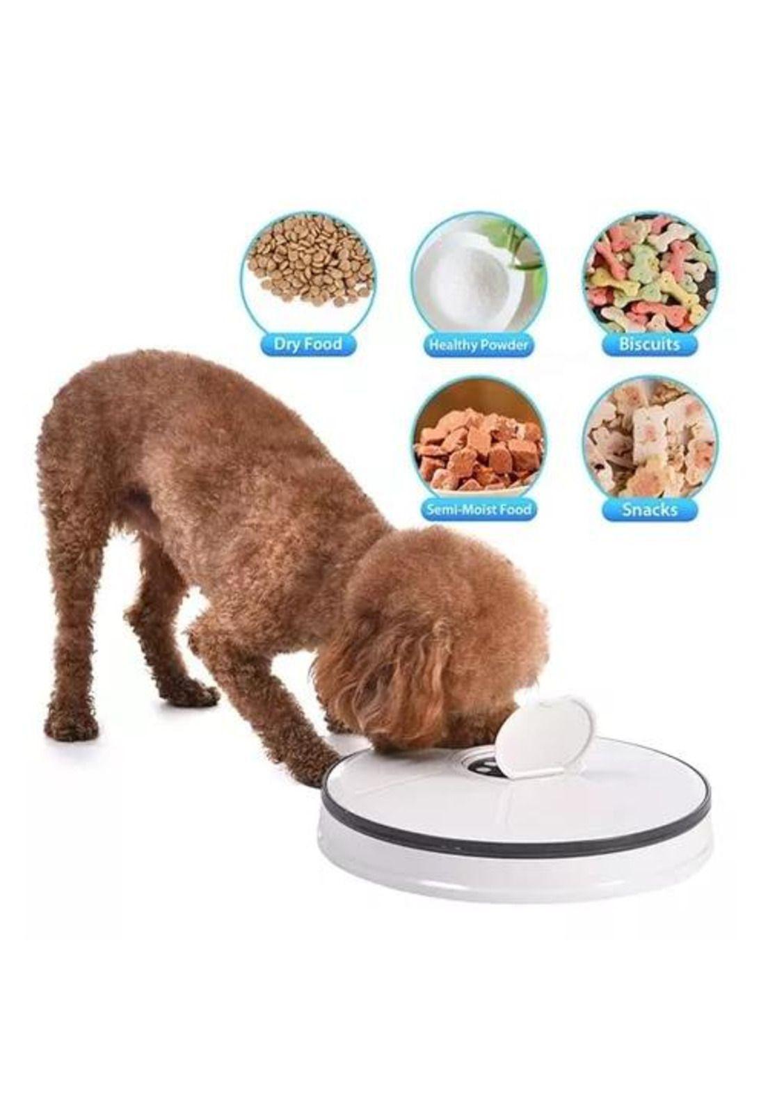 Dispensador automático de alimento para perros y gatos, blanco-9