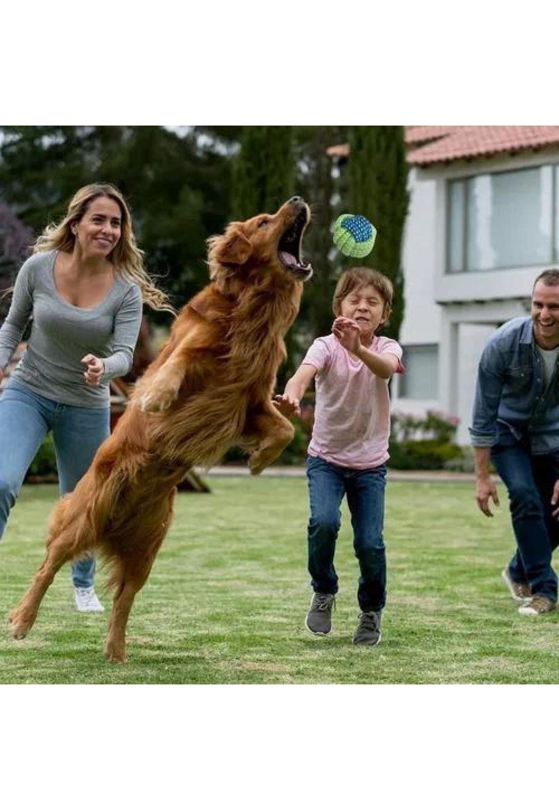 Set de 10 juguetes para mascotas, incluye pelota de cuerda y más-7