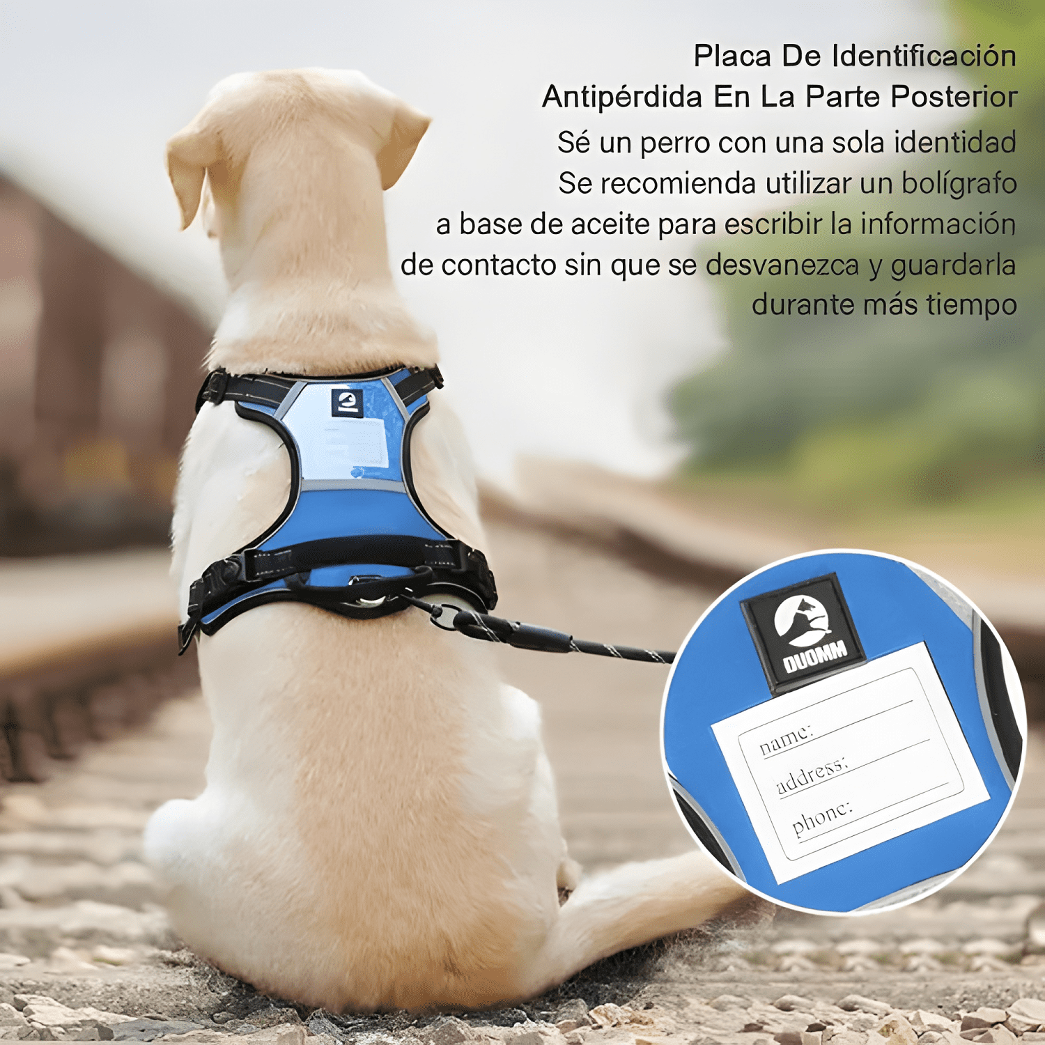 Imagen de producto
