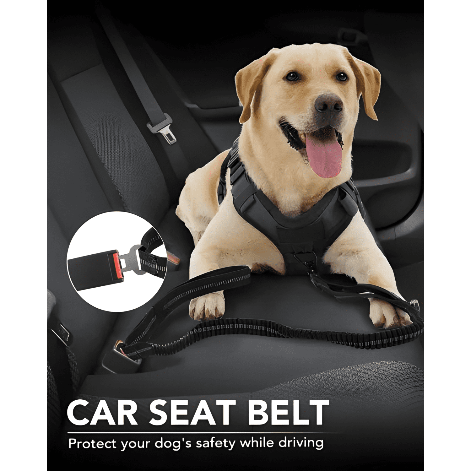 Correa táctica resistente 5en1 para perros mascotas-4
