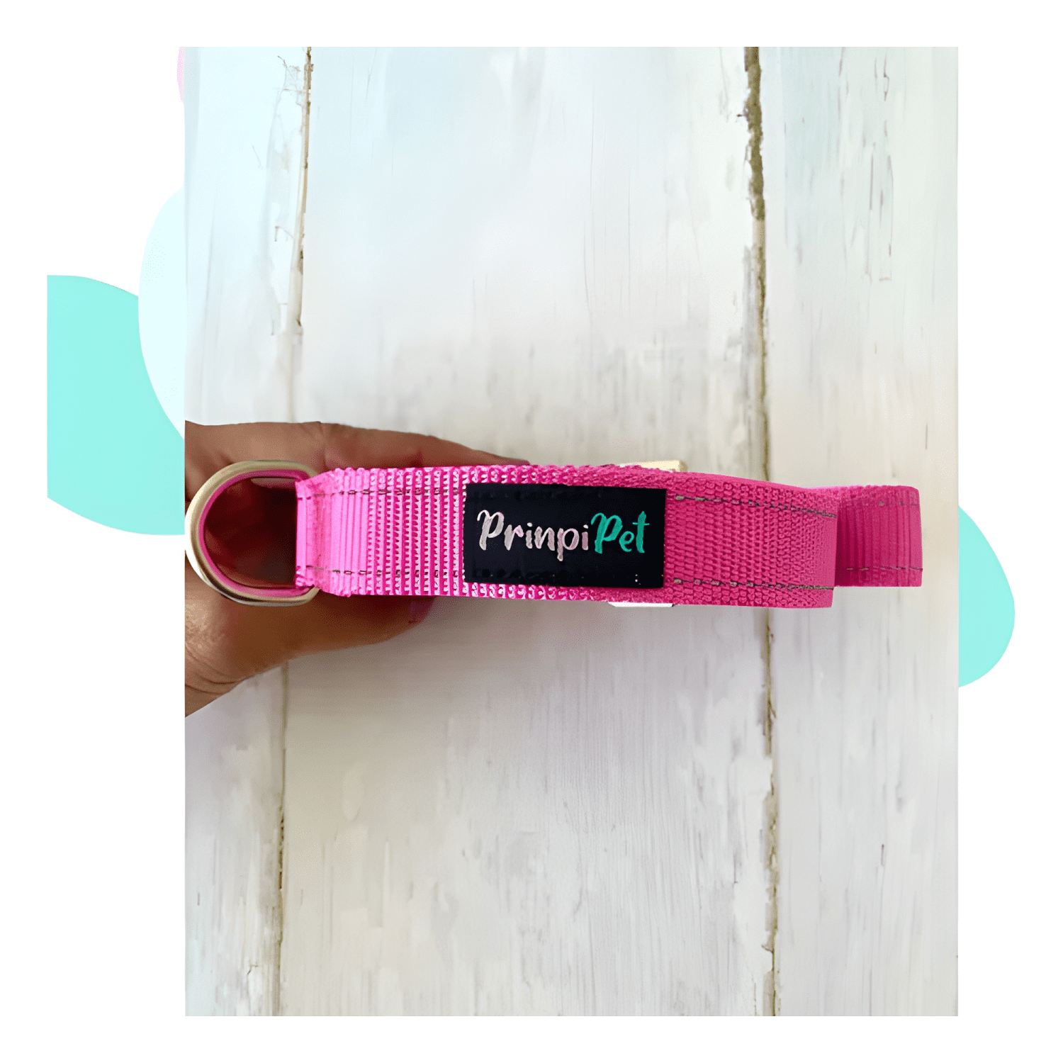 Correa para tu mascota de 5 mts yg-228-3