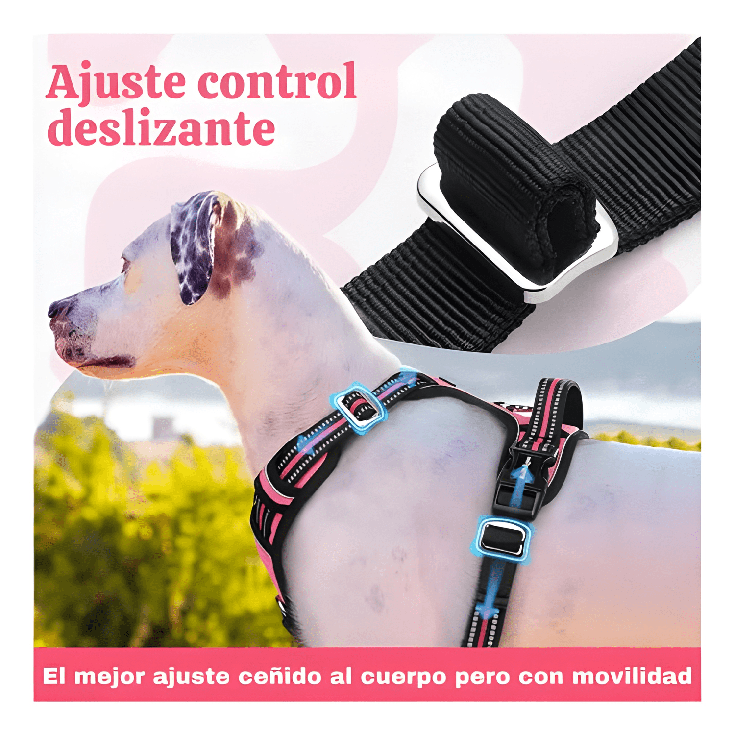 Set arnés correa collar porta GPS-2