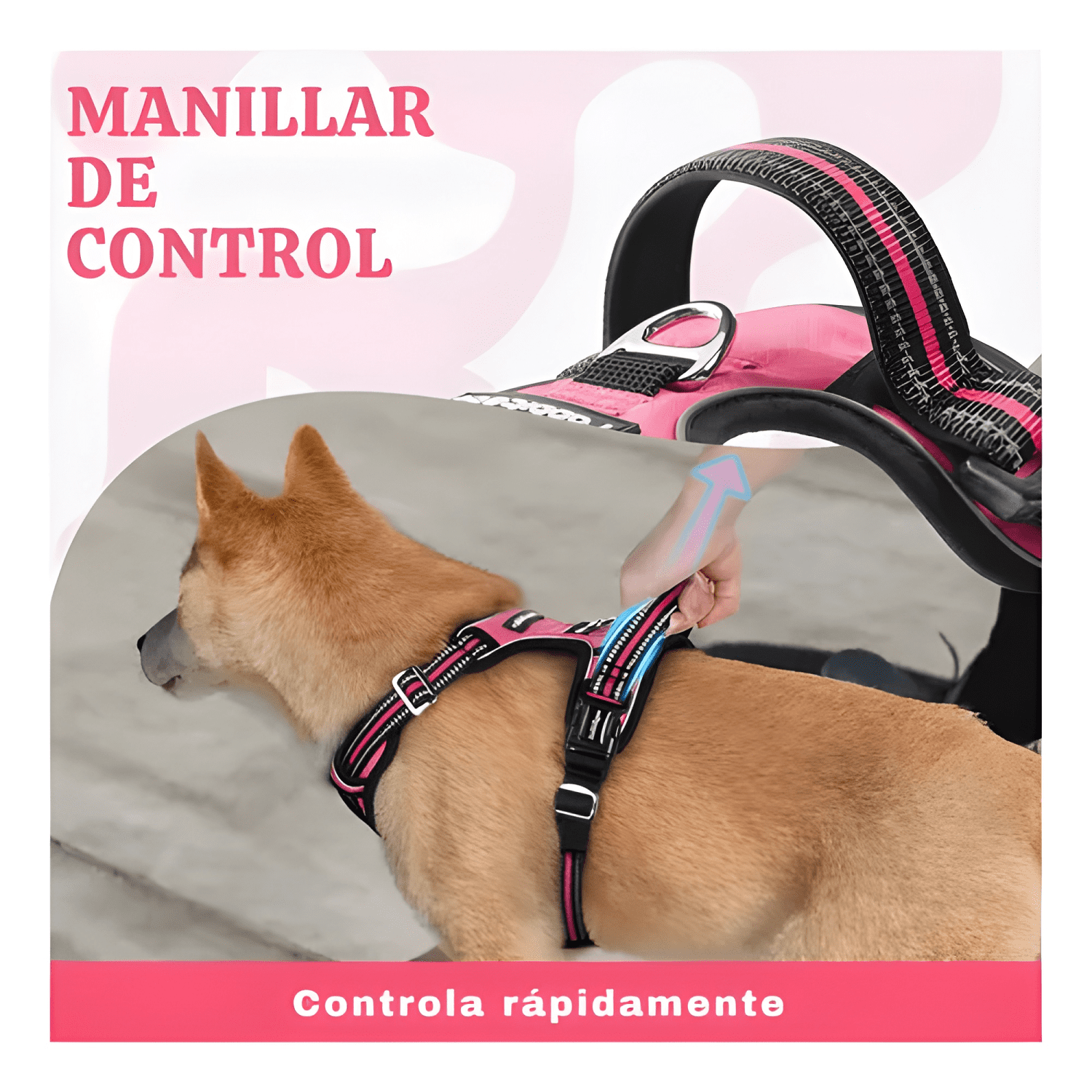 Set arnés correa collar porta GPS-3