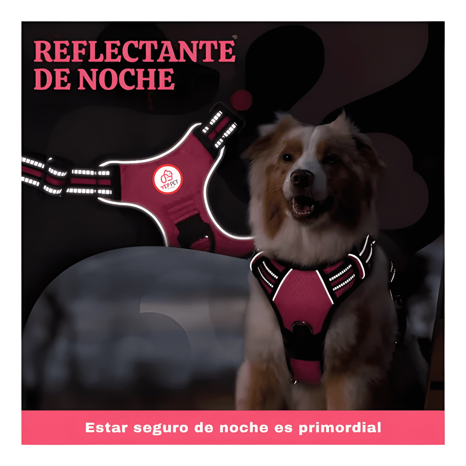 Set arnés correa collar porta GPS-4