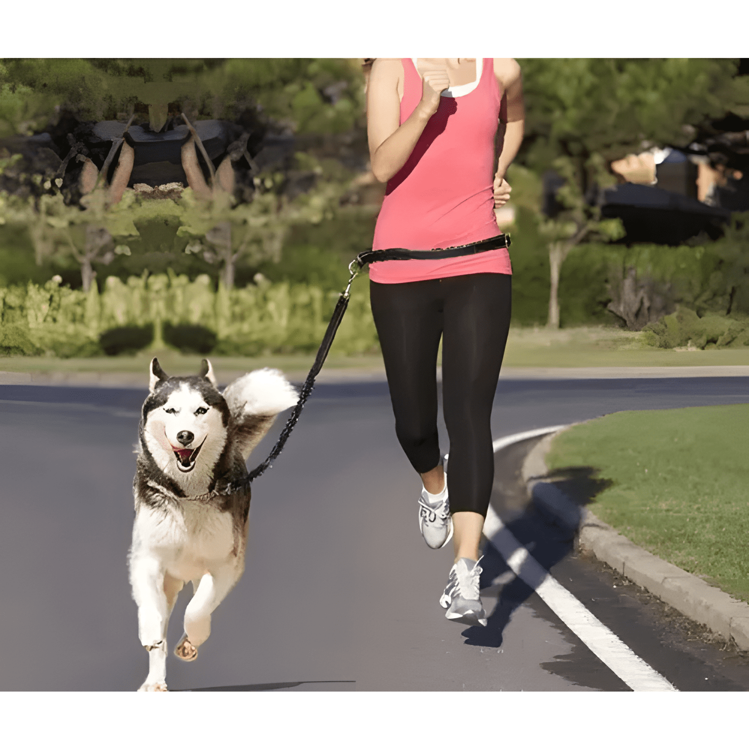 Cinturón correa resistente correr con tu perro doble gancho-3