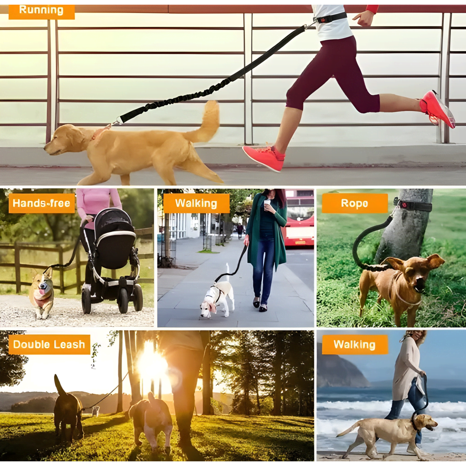 Cinturón correa resistente correr con tu perro doble gancho-4