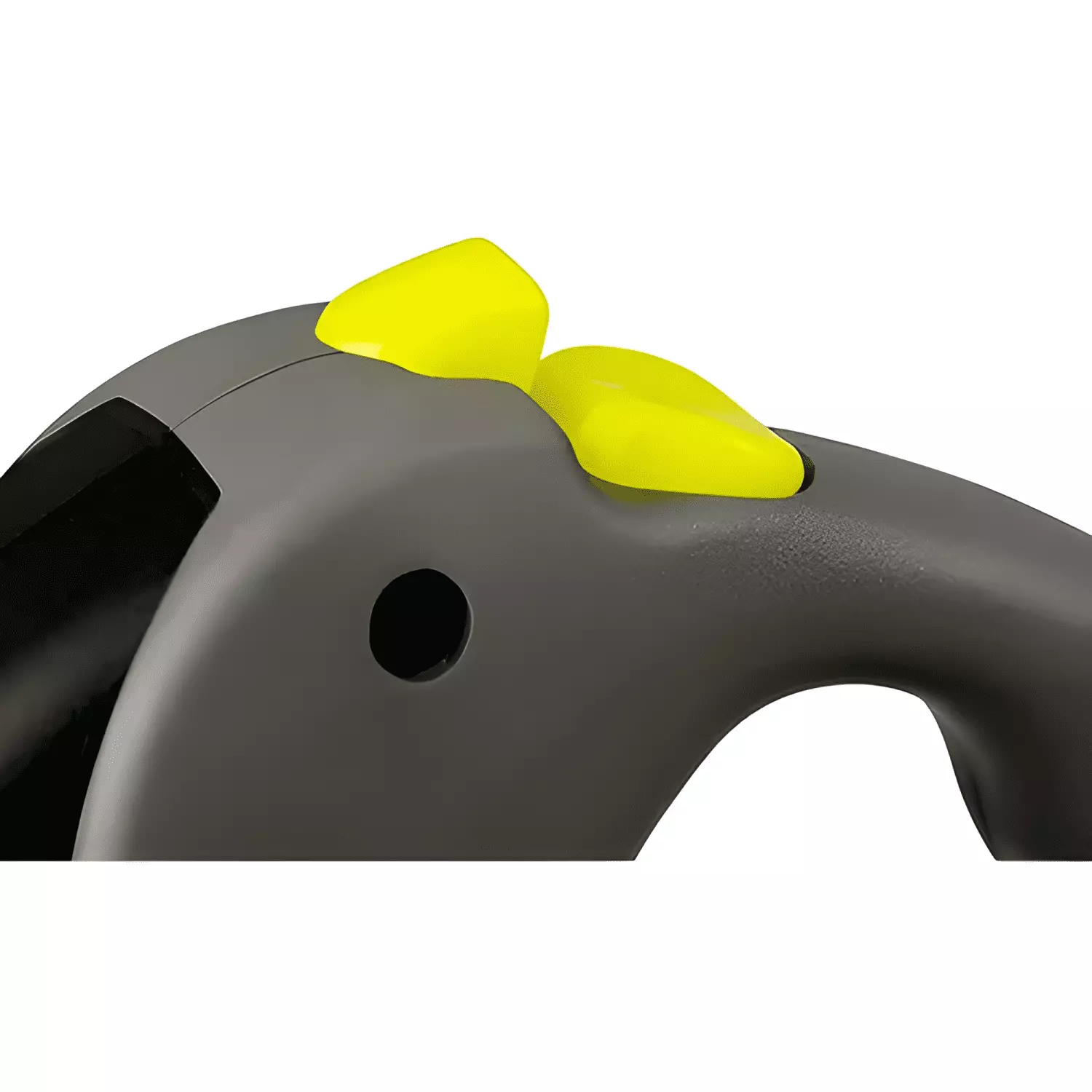 Correa flexi giant 8mts. talla l, hasta 50kg-2