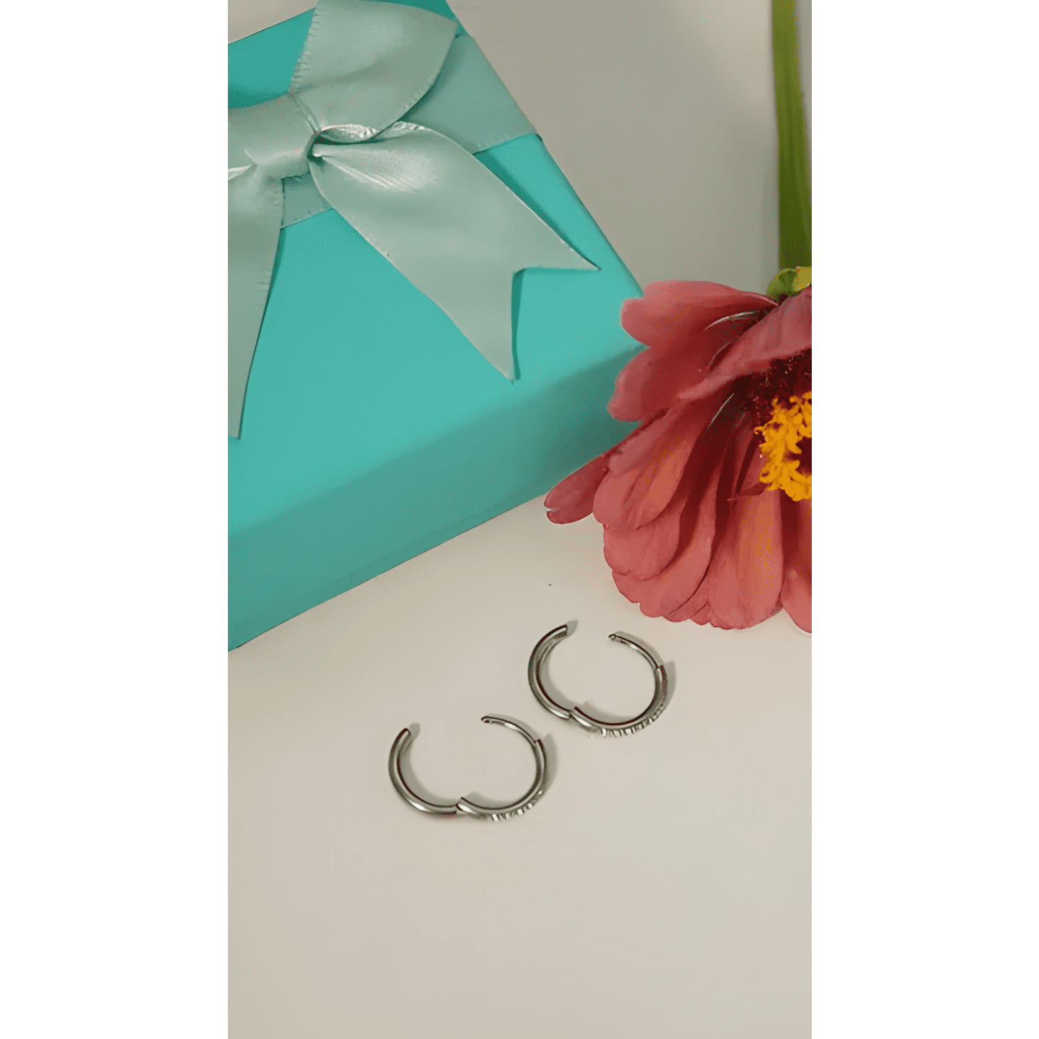 Aros Argollas Aura Shine 12mm Titanio Astm F136 Plateado-4