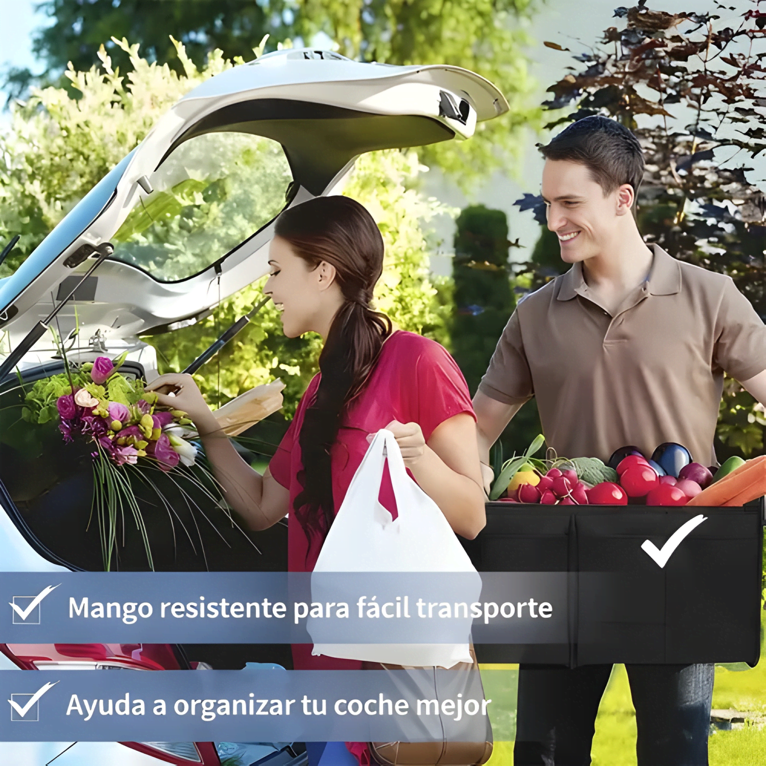 Caja Organizadora De Maleta Auto Bolso Maletero Plegabl #750-4
