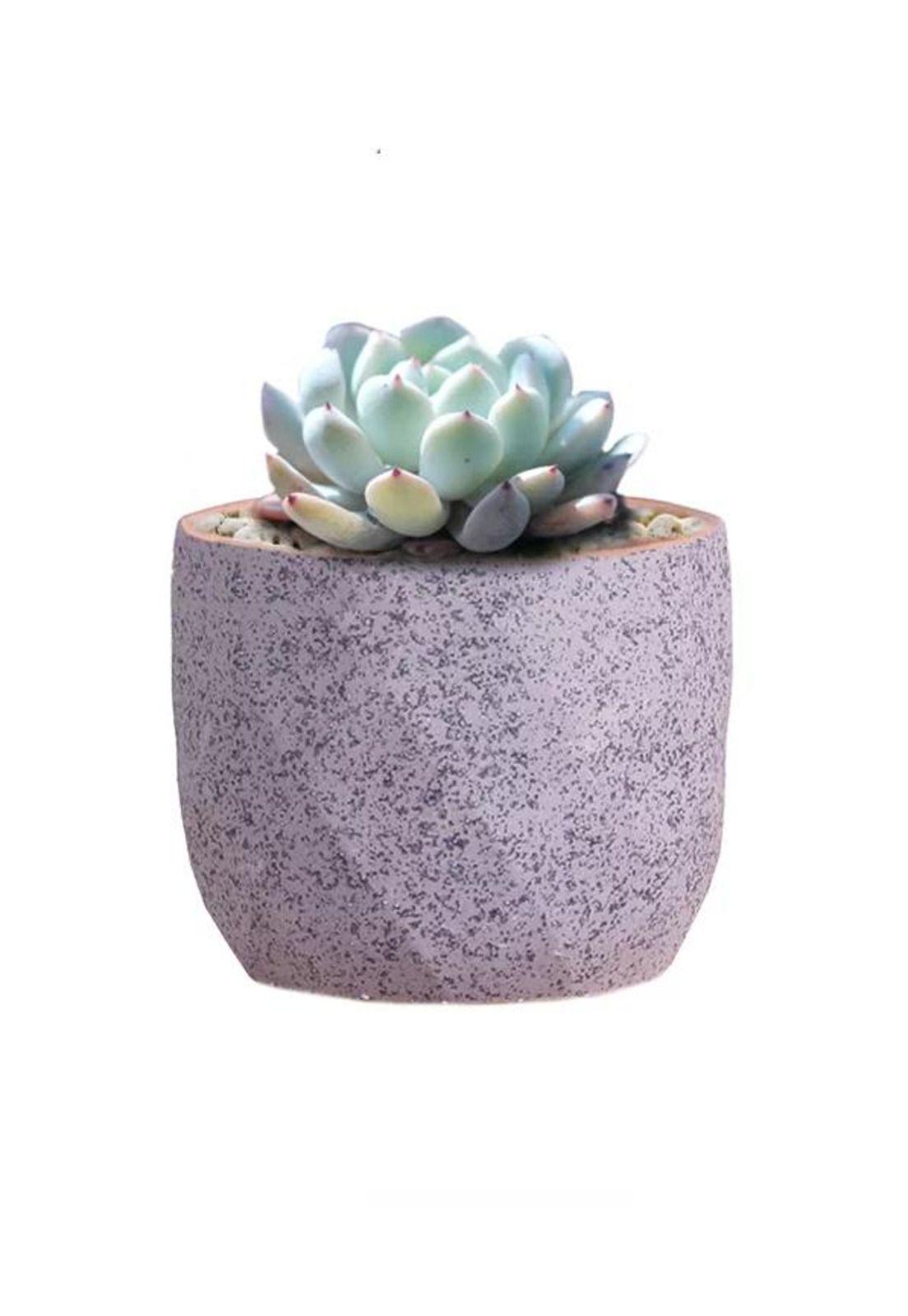 Macetero Geométrico Cerámica Suculentas 7.2x6cm Pack 10 Rosa-2