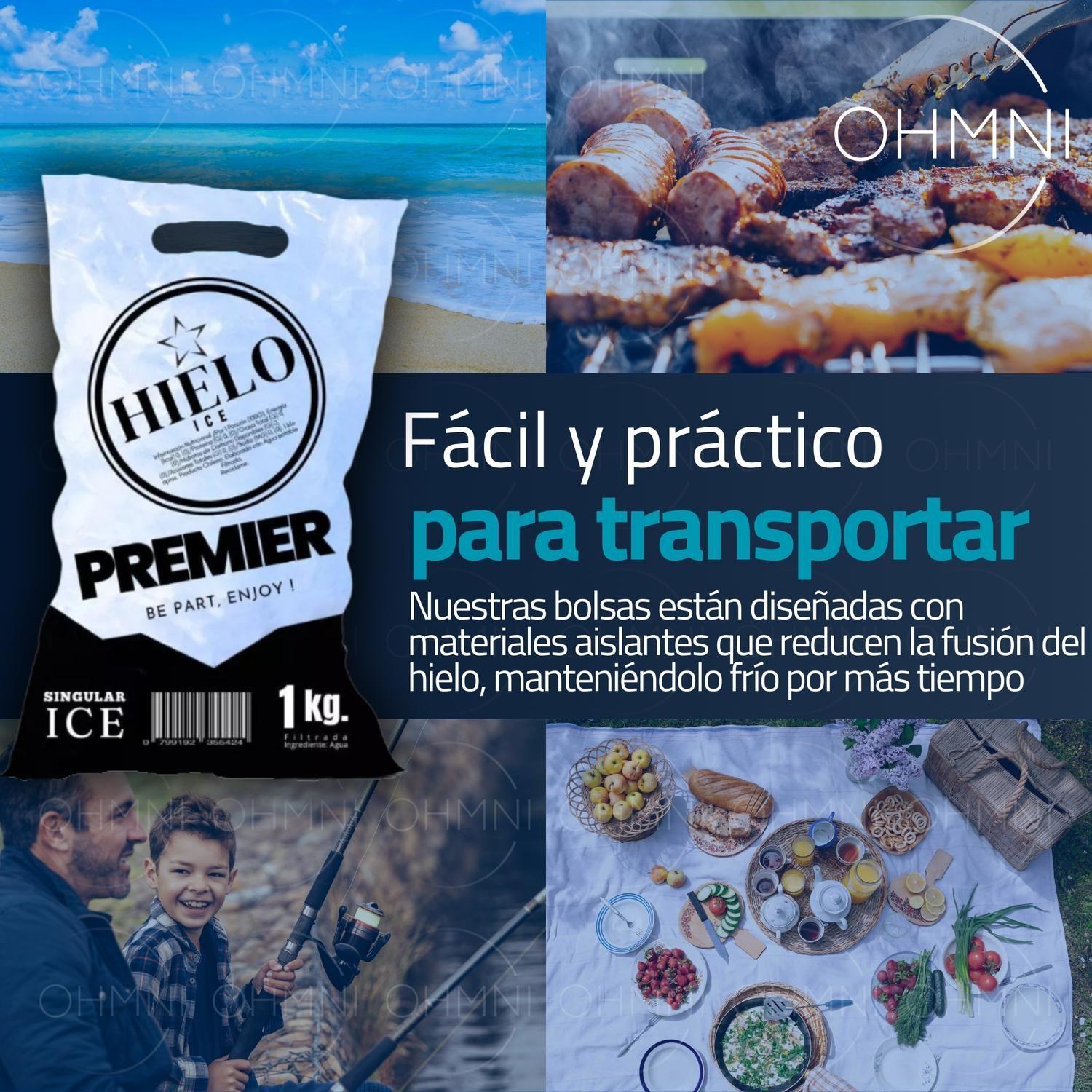 Bolsas Para Envasar Hielo por Kilo Congelar 1000u c/ Manilla-5