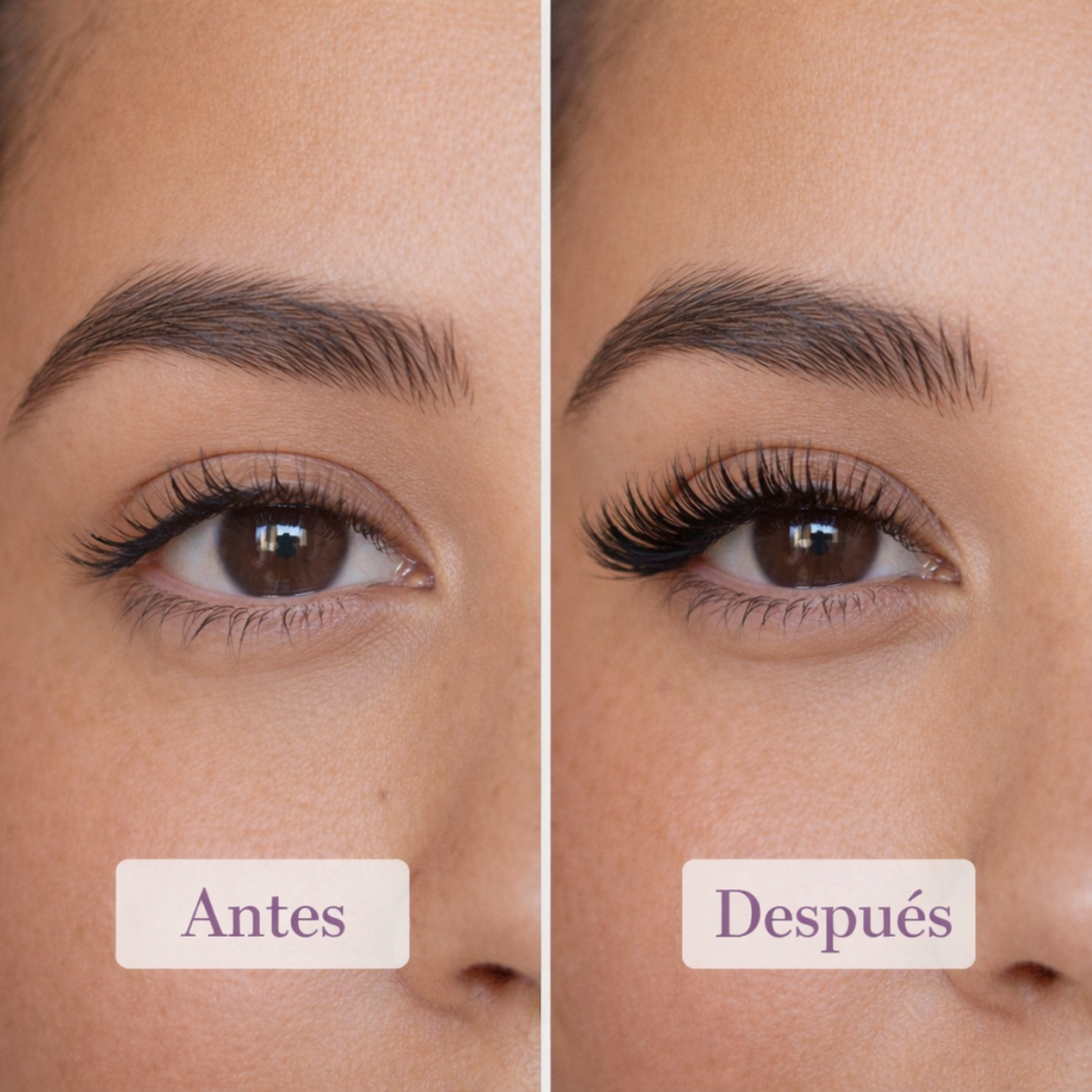 Pestañas Postizas Extensiones Kit Completo 280 Racimos Plie-5