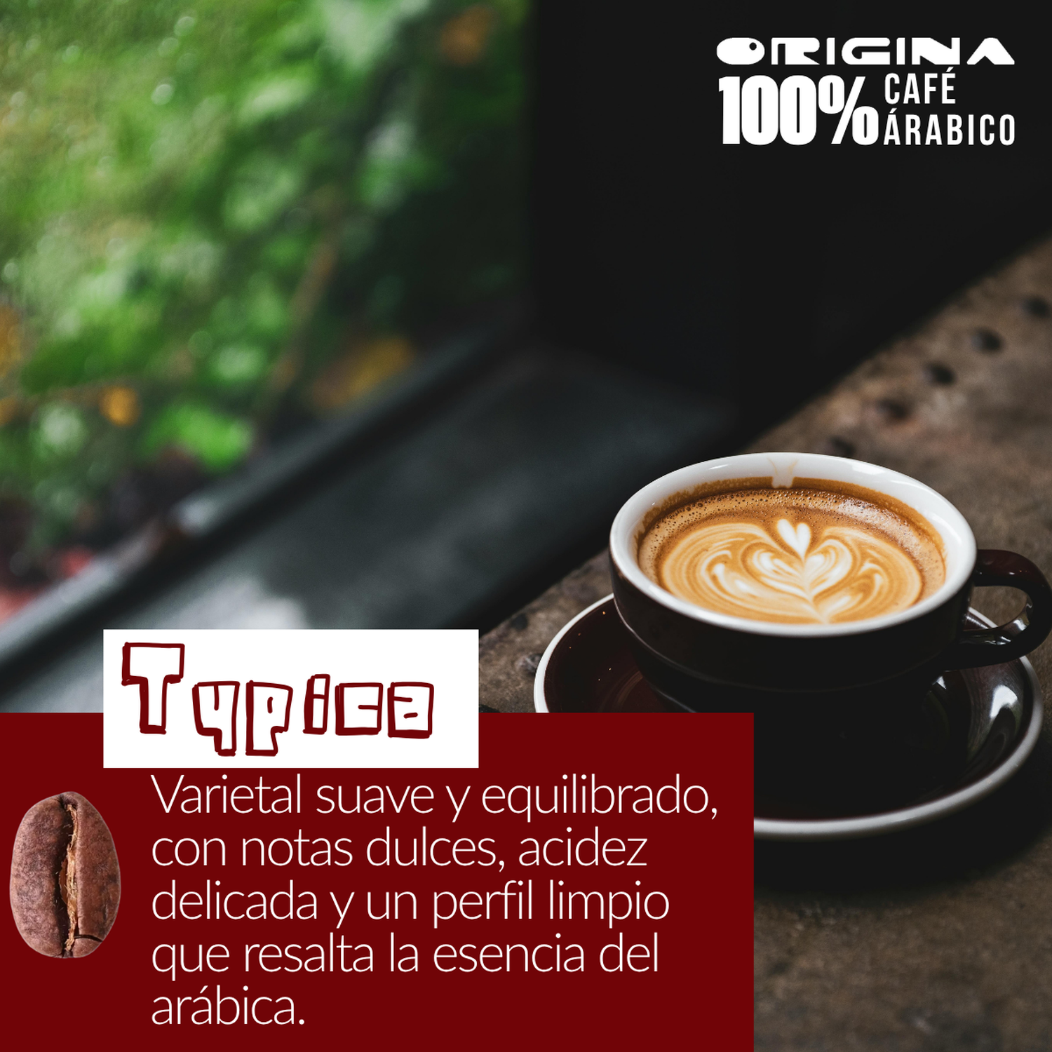 Cafe Espresso Origina Expert Crema y Aroma Grano Entero 1kg-3