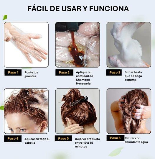 Shampoo con Tinte Capilar Castaño 500Ml-2