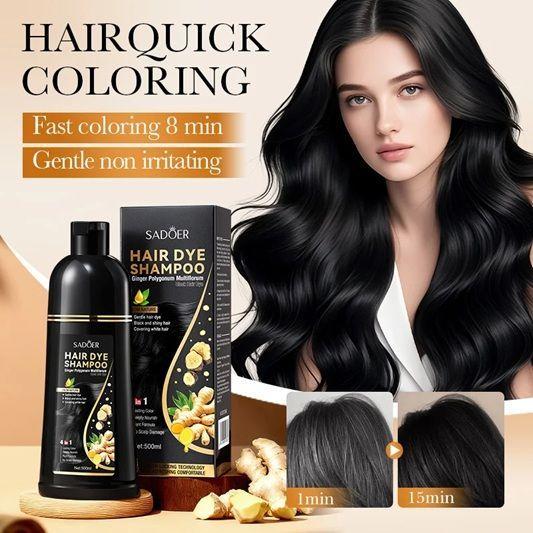Shampoo con tinte capilar negro 500Ml-2