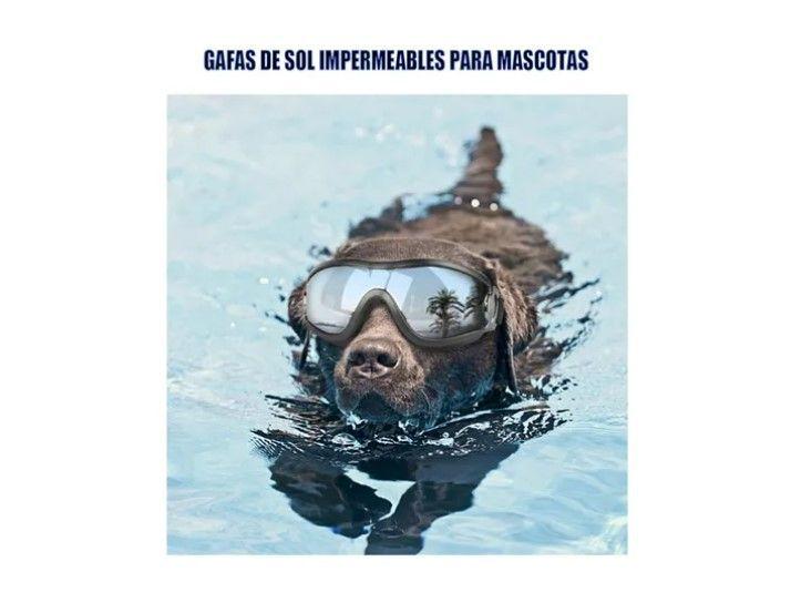 Gafas De Sol Para Perro Anti-uv Protector De Ojos Ajustable-3
