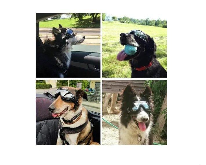 Gafas De Sol Para Perro Anti-uv Protector De Ojos Ajustable-7