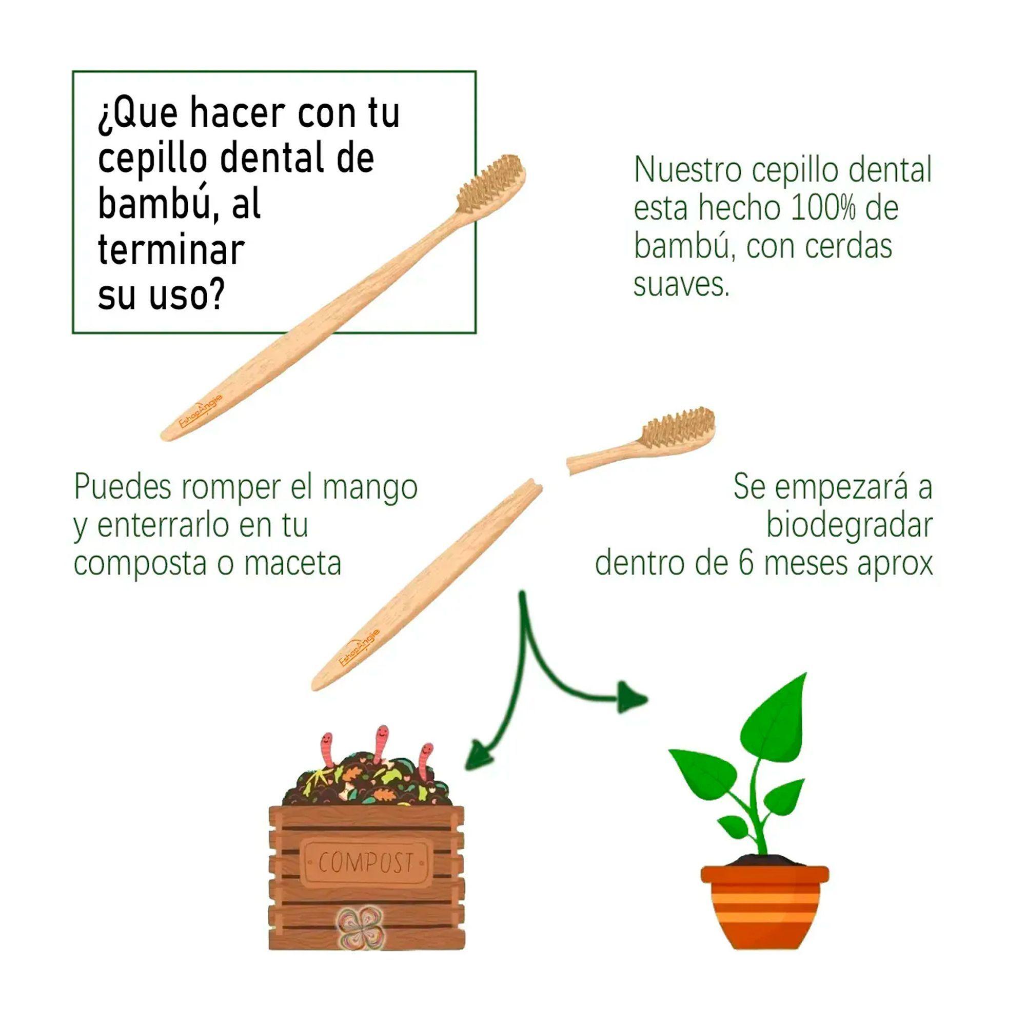 Cepillo De Dientes Bambu Adulto Pack 10 Unidades Ecologicos-4