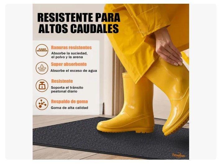 Alfombra Tapete Limpiapiés Para Entrada Exterior 60x40cm-4