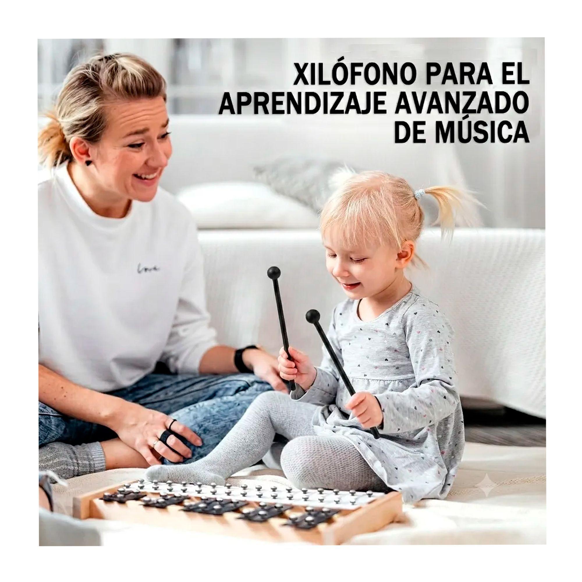 Xilofono 27 Notas Base Madera Y Metal Metalofono Educativo-6
