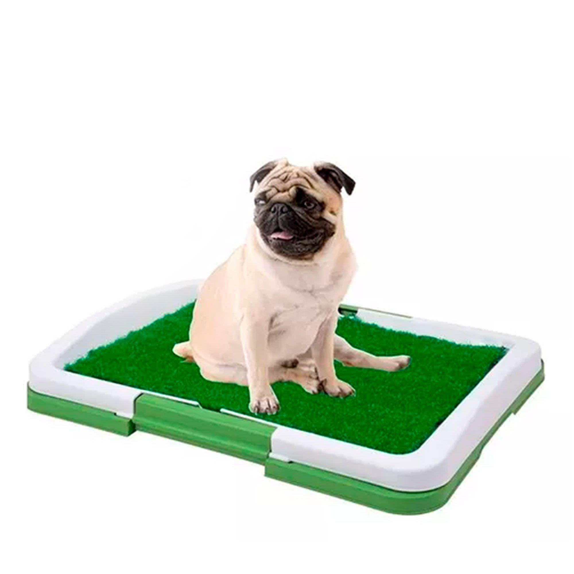 Baño Para Perros Y Gatos Ecológico Mascota 3 Niveles 46x33cm-0