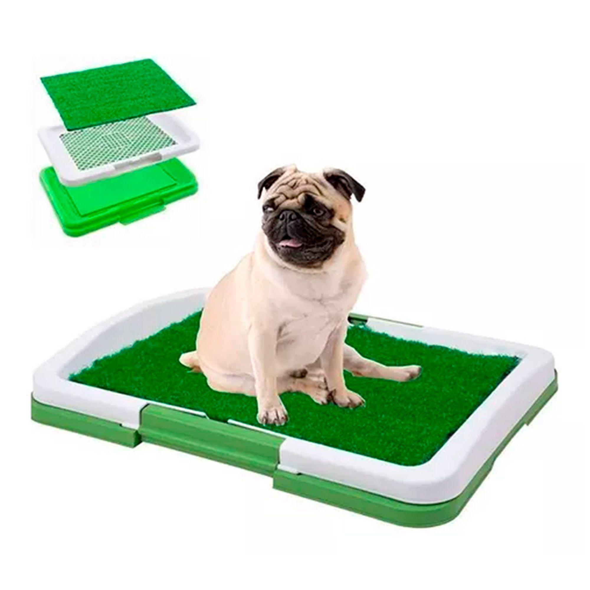 Baño Para Perros Y Gatos Ecológico Mascota 3 Niveles 46x33cm-1