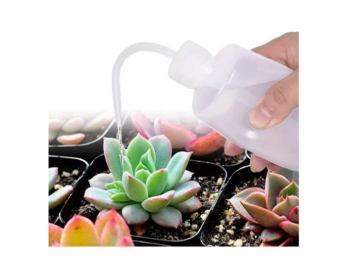 Kit Mini Herramientas Plantas Jardinería Suculentas 15piezas-2