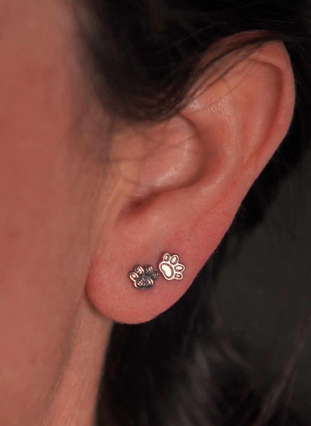 Aros huella de perro gato titanio grado implante-2