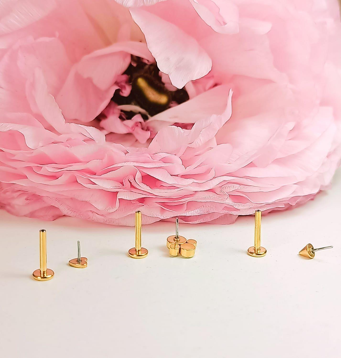 Conjunto push pin Piercing Chapado En Oro 18k Nostril Labret huella-2