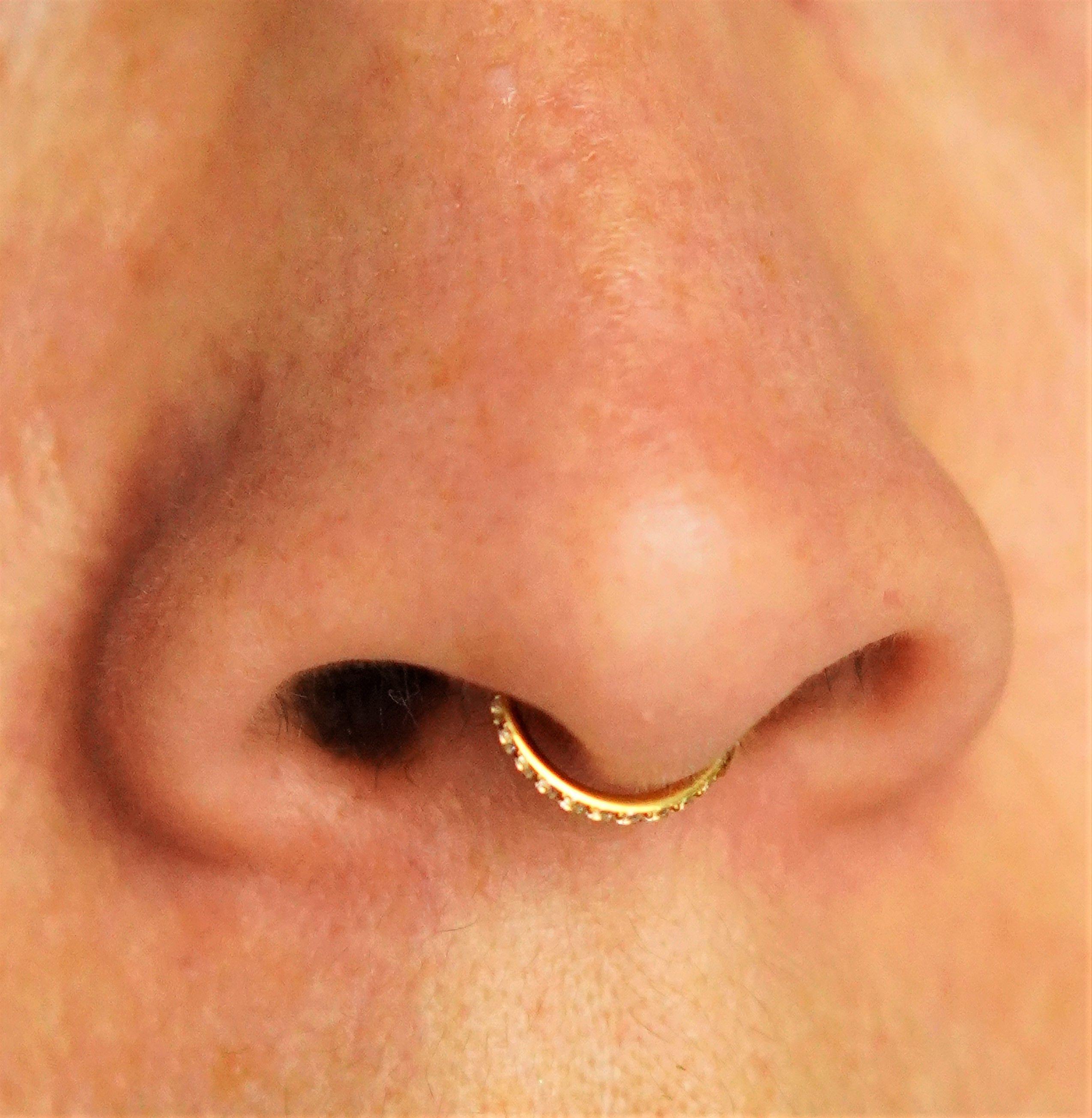 Piercing Septum 8mm Oreja Chapado En Oro Titanio Astm F136-2