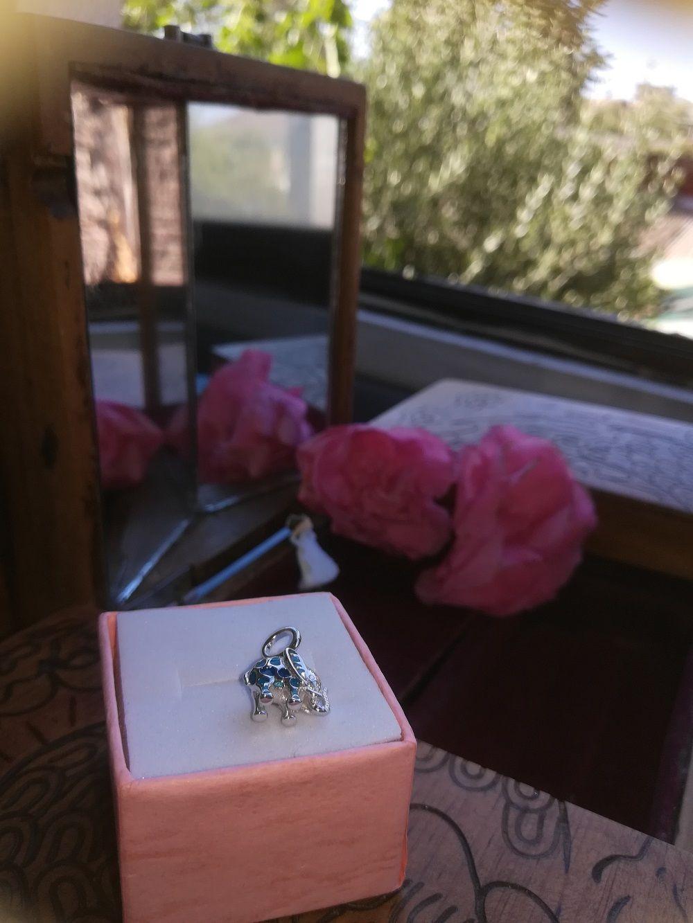 Charm dije abalorio para pulsera o colgante plata 925-5