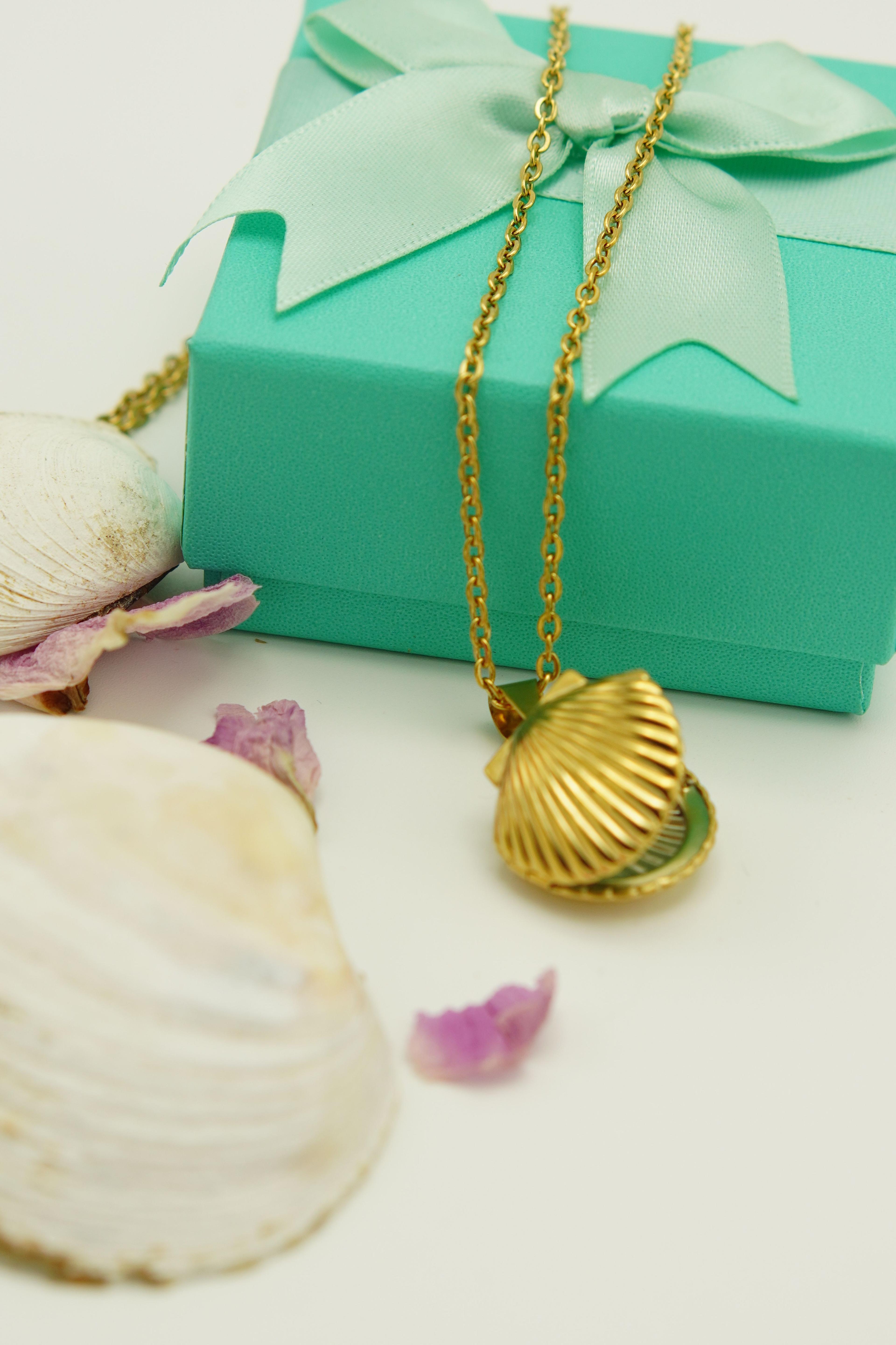 Colgante Relicario Ostra caracola Guardafoto Chapado En Oro 18-4