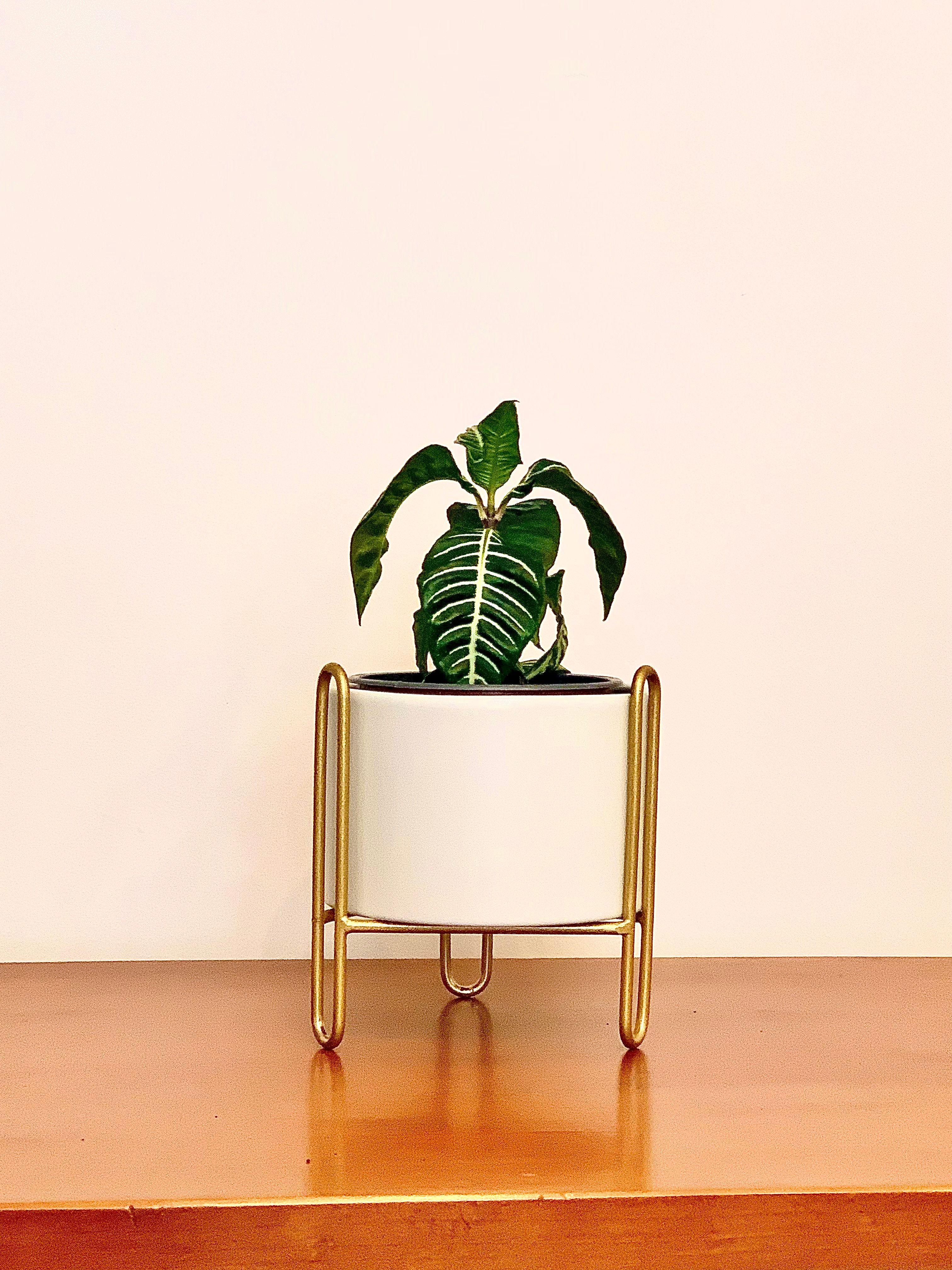 Porta macetero con maceta de metal blanco-2