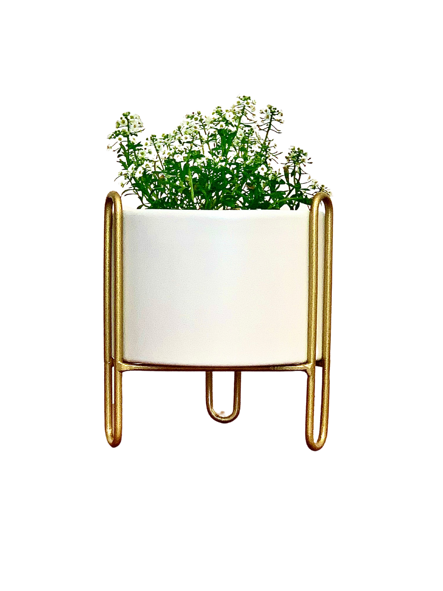 Porta macetero con maceta de metal blanco-0