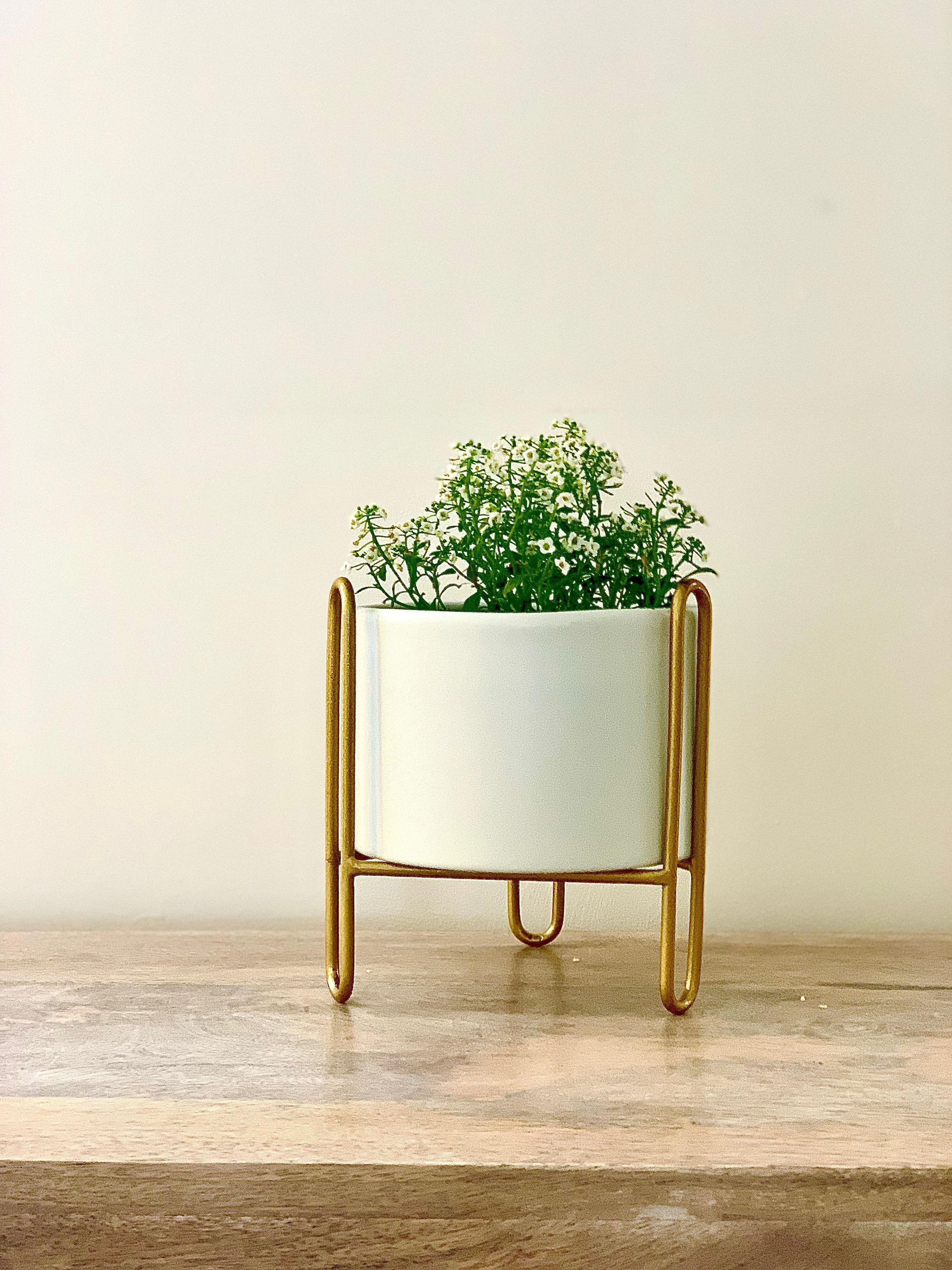 Porta macetero con maceta de metal blanco-3