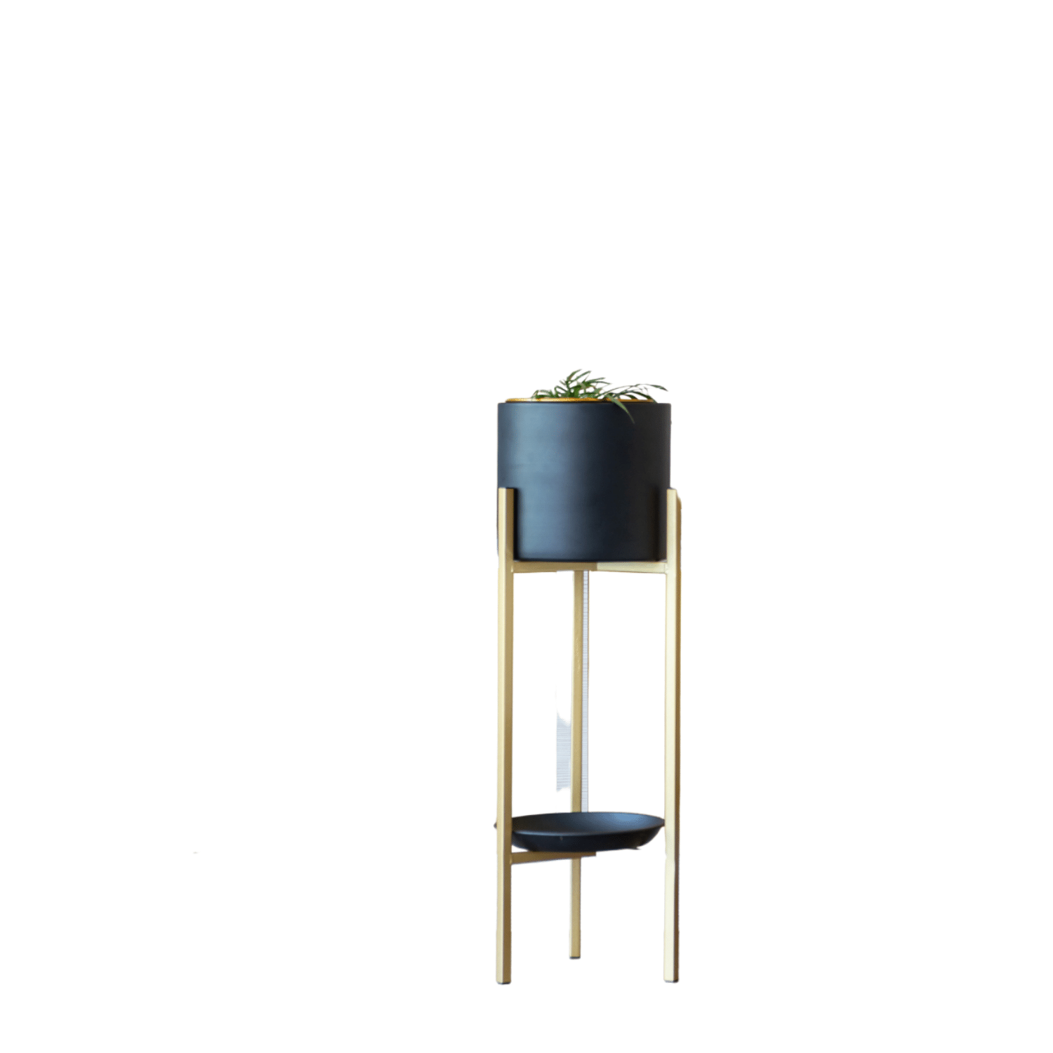 Pedestal Elite dorado con maceta negra M-0